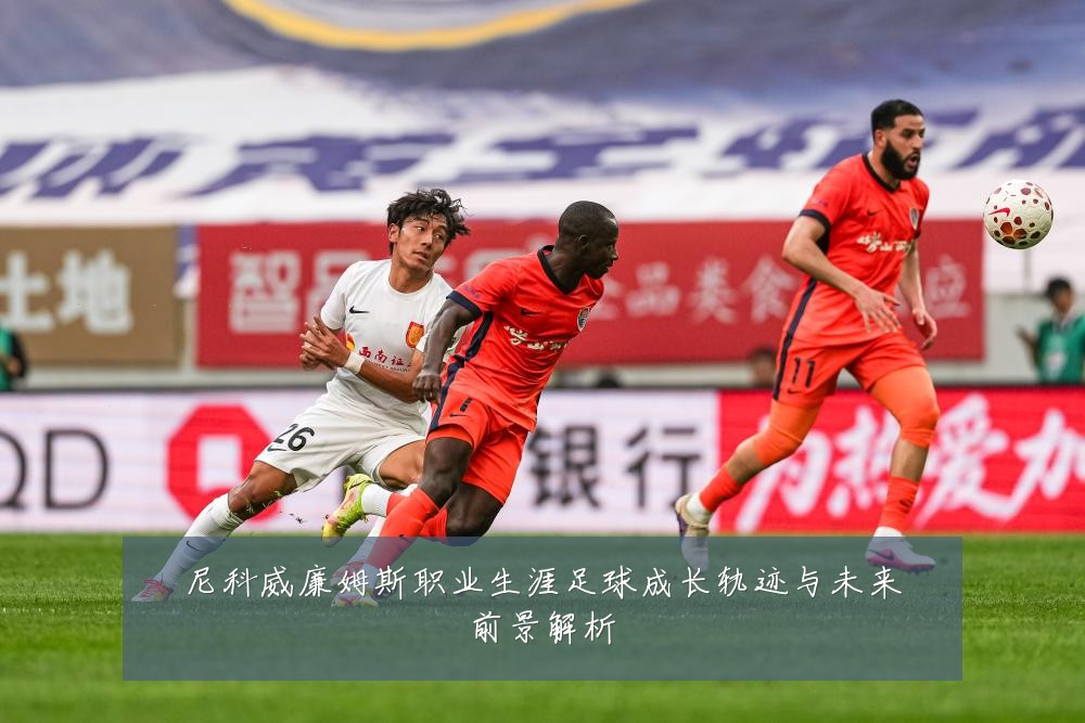 尼科威廉姆斯职业生涯足球成长轨迹与未来前景解析
