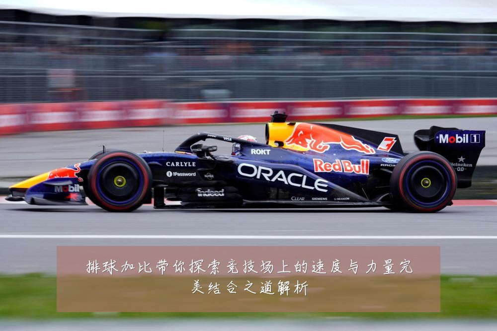 排球加比带你探索竞技场上的速度与力量完美结合之道解析